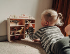 Dinosaurs & Shelf