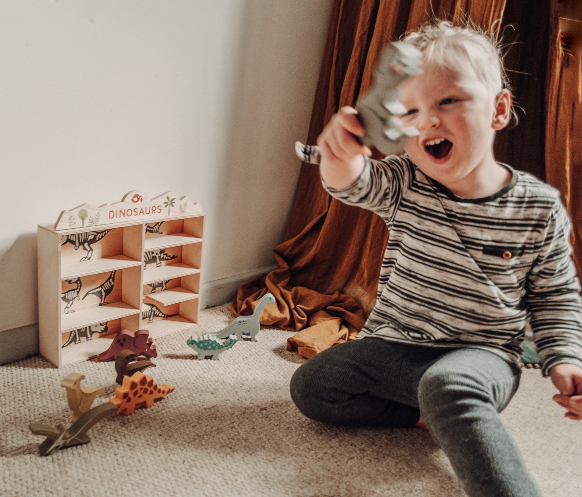 Dinosaurs & Shelf