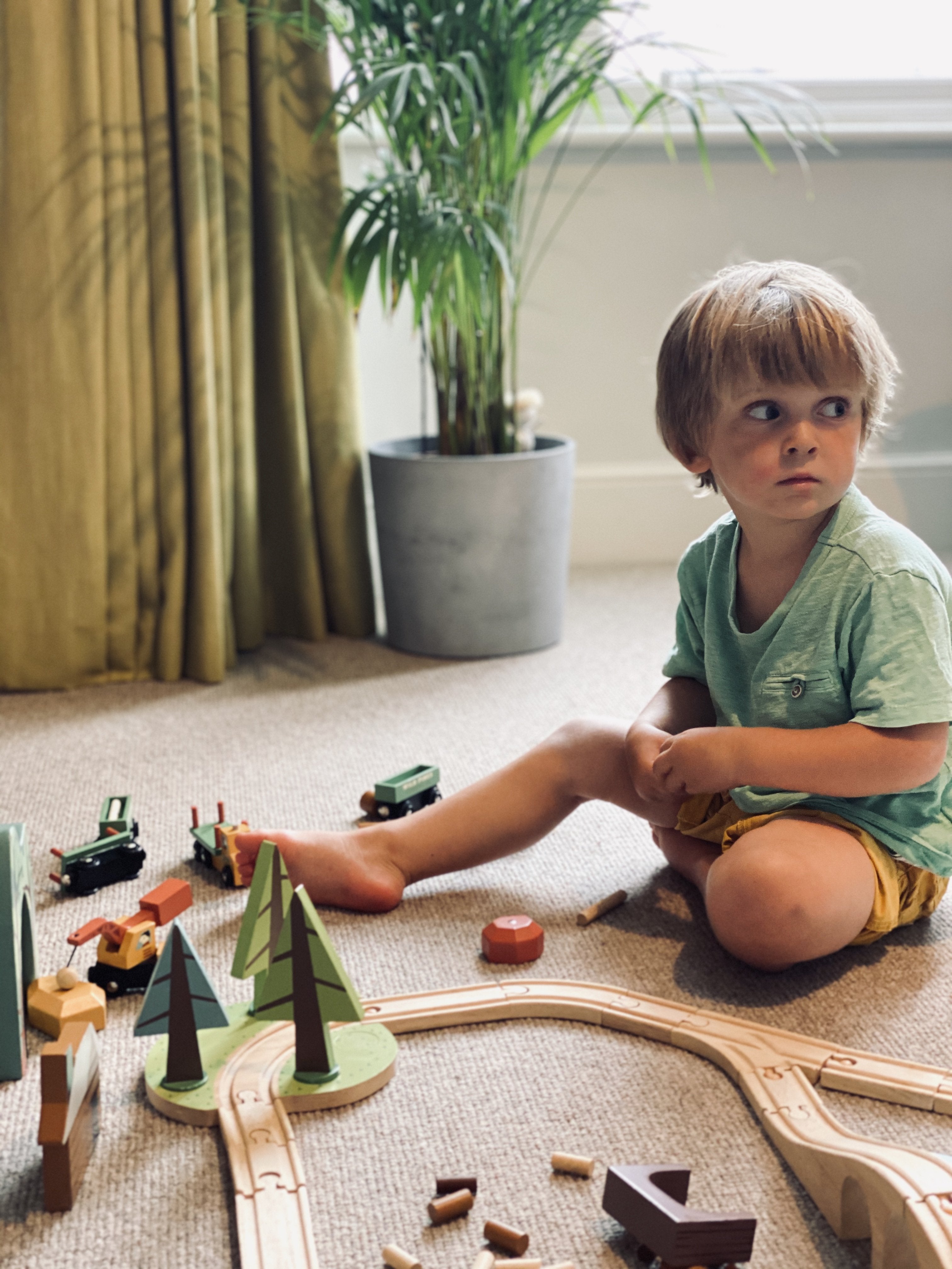 Pines Train Set