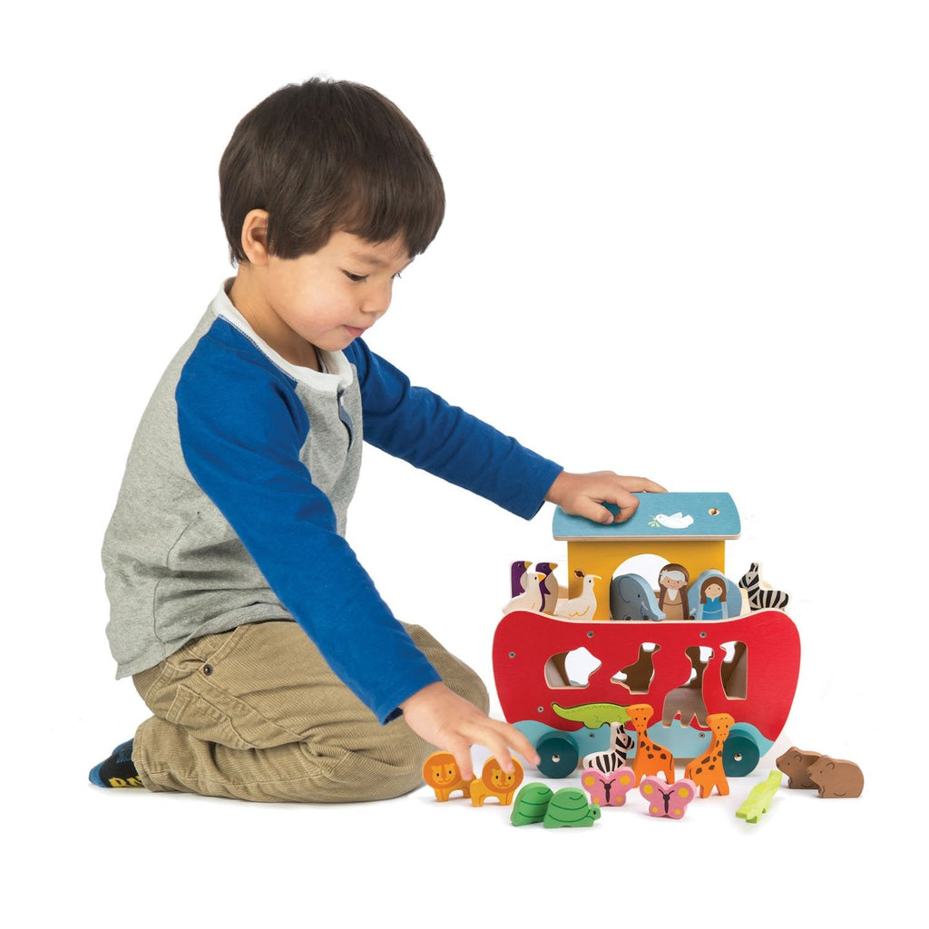 Shape Sorter Ark