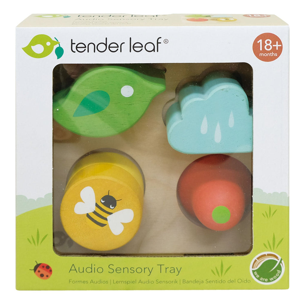 Audio Sensory Tray