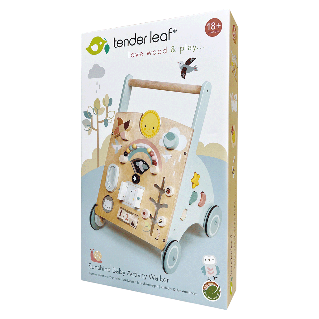 Baby Activity Walker