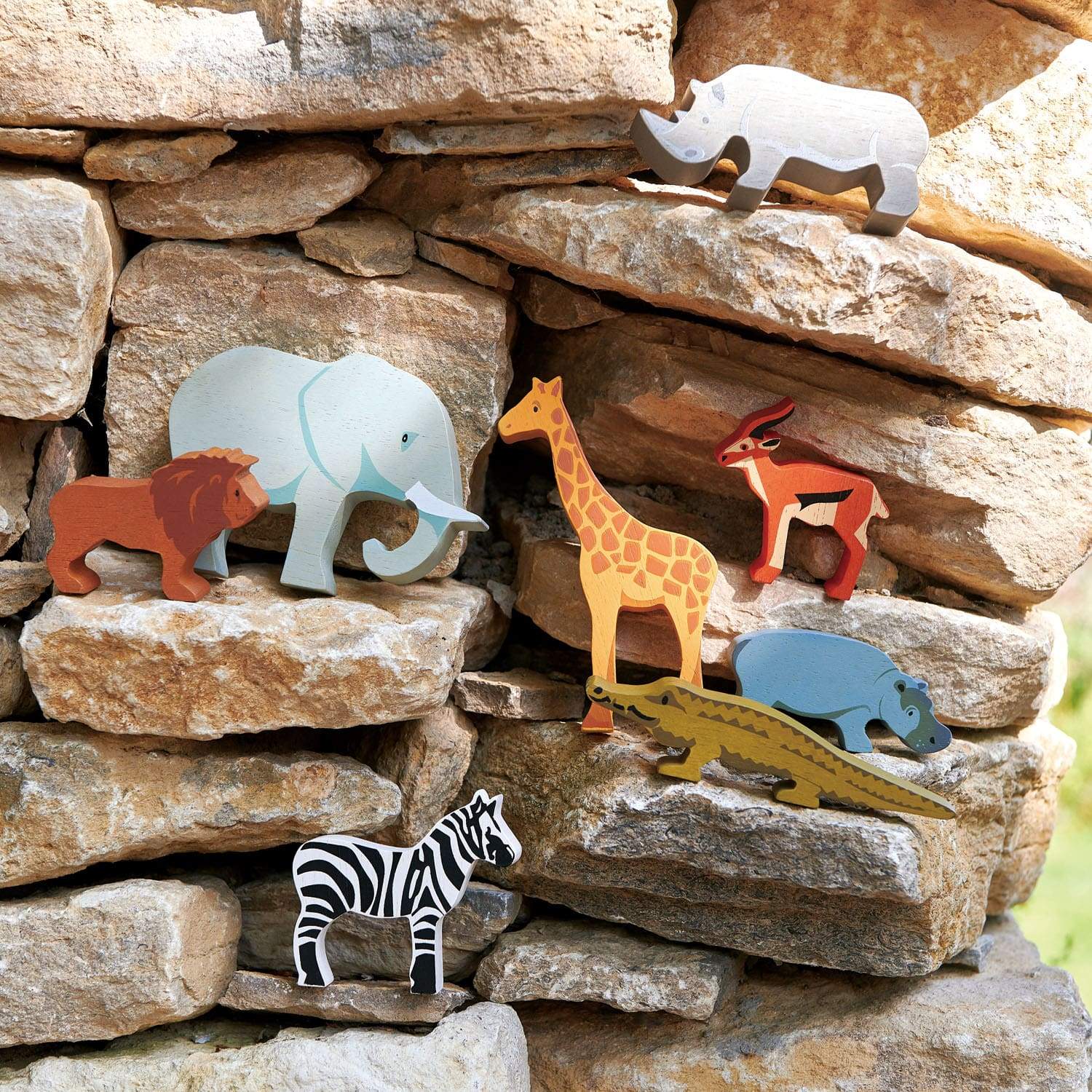 Safari & Shelf