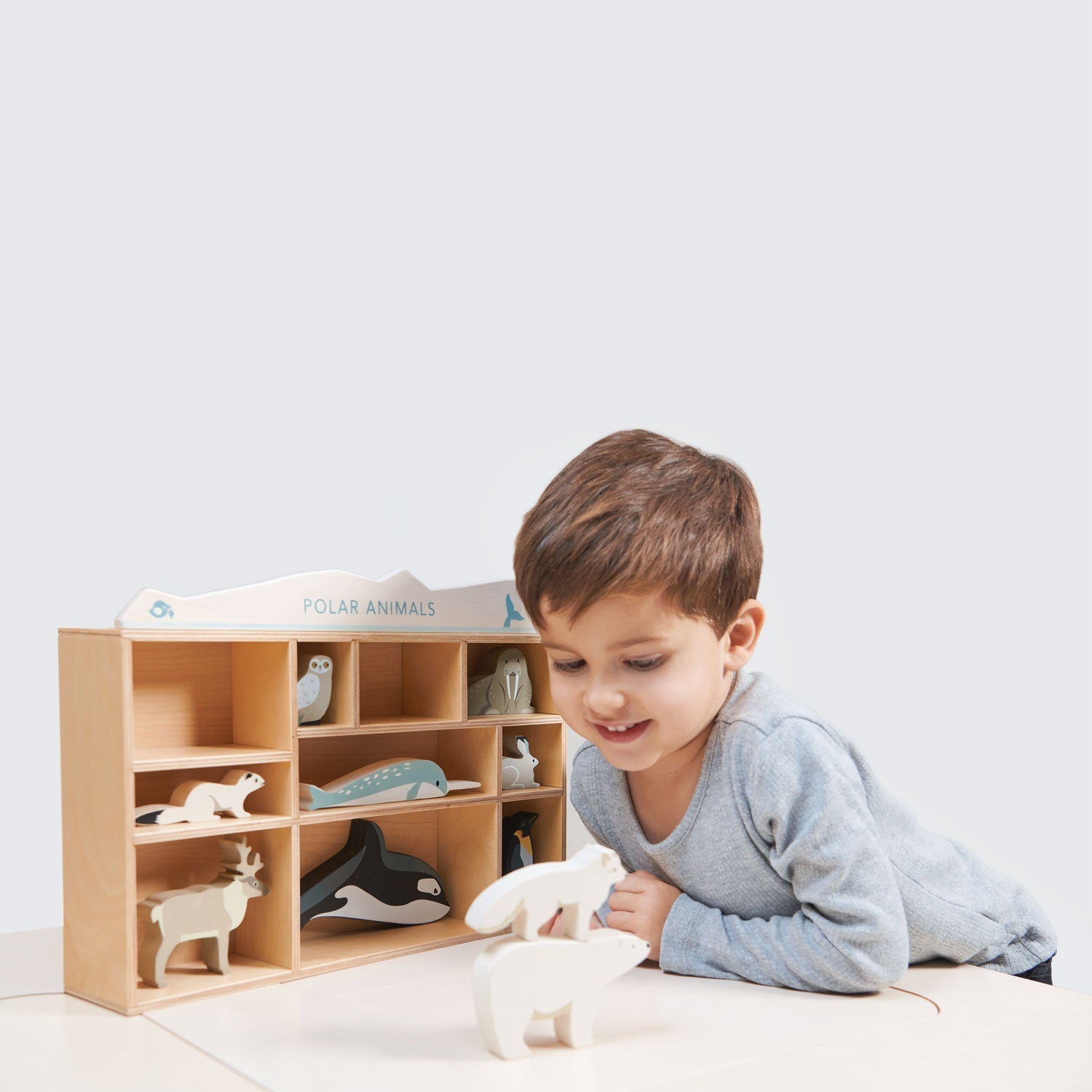 Polar Animals Shelf
