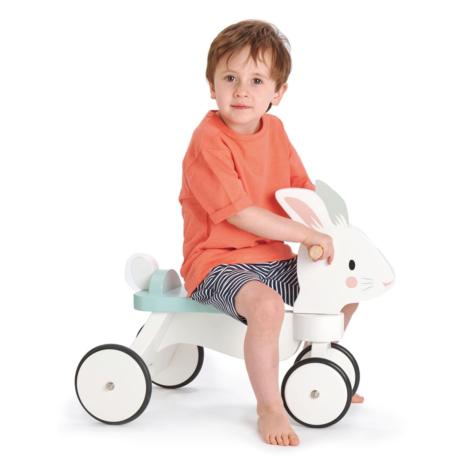 Running Rabbit Ride