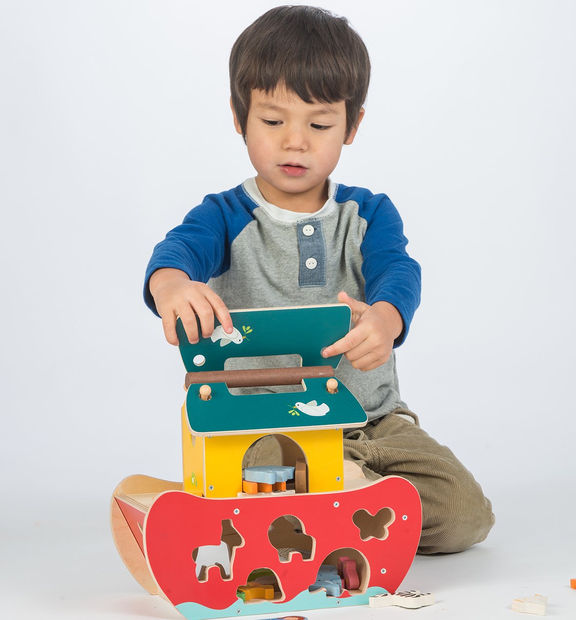 Shape Sorter Ark
